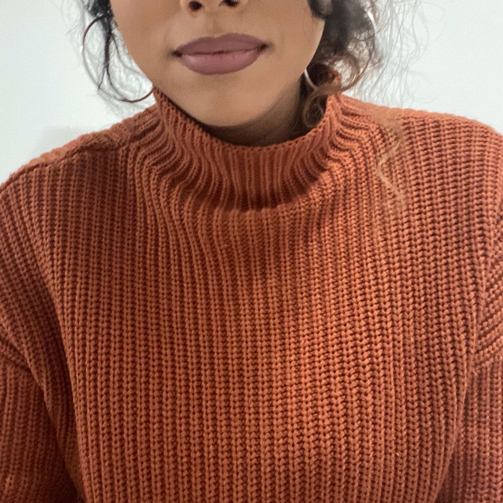 NWT influencer Cupcakes and Cashmere mock neck rib knit burnt orange sweater